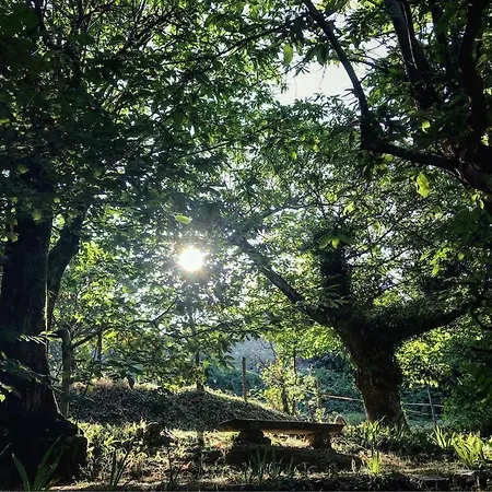 Parc Des Cevennes, Nature, Calme, Piscine Vila